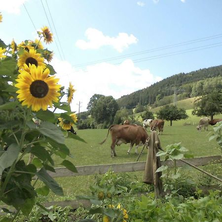Urlaub Auf Dem Haenslehof Daire Elzach Dış mekan fotoğraf