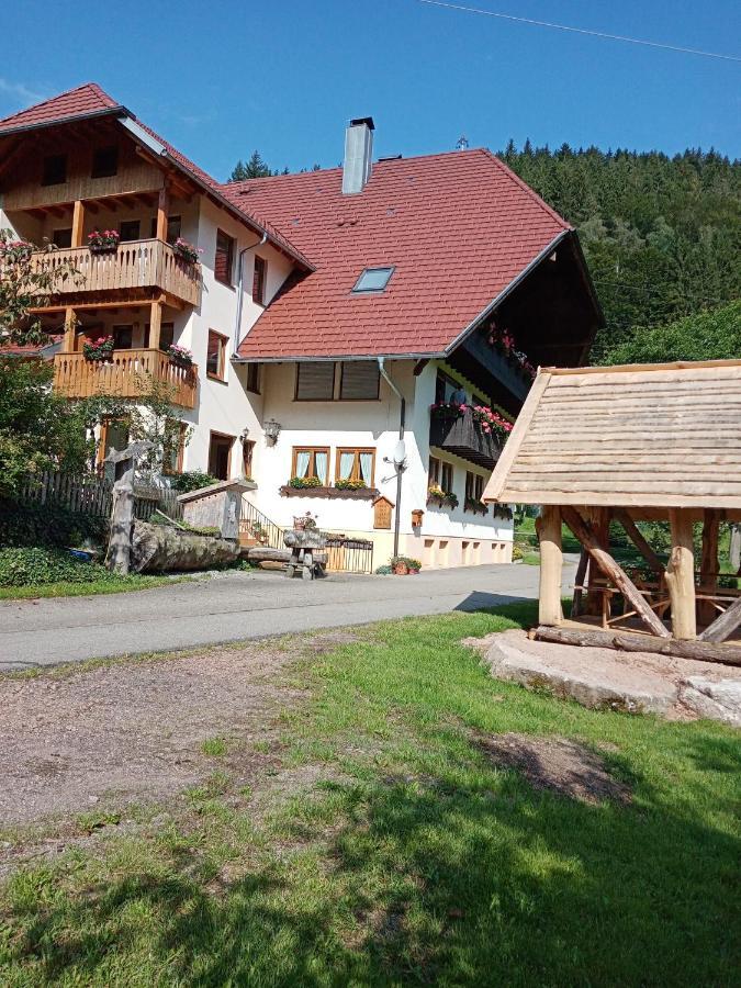Urlaub Auf Dem Haenslehof Daire Elzach Dış mekan fotoğraf