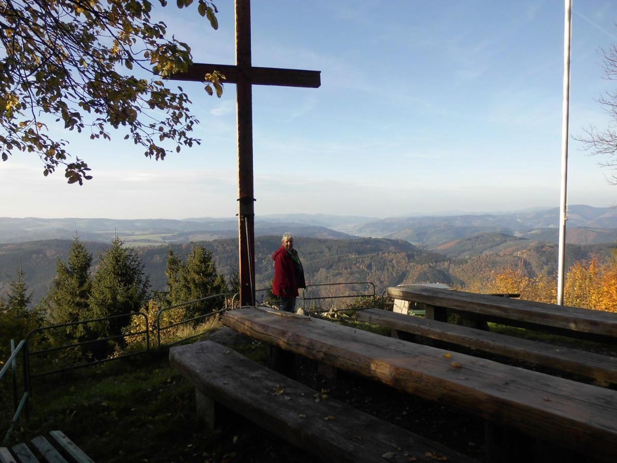 Urlaub Auf Dem Haenslehof Daire Elzach Dış mekan fotoğraf