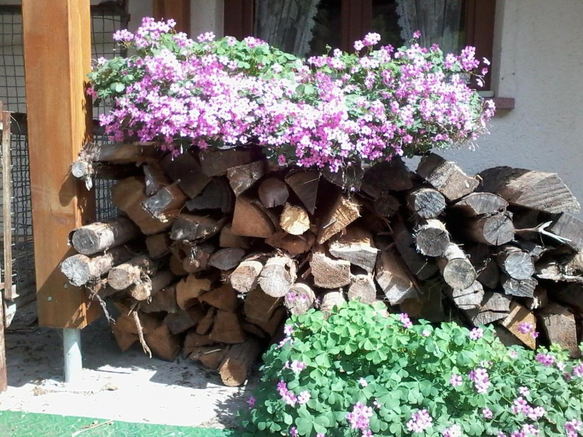 Urlaub Auf Dem Haenslehof Daire Elzach Dış mekan fotoğraf