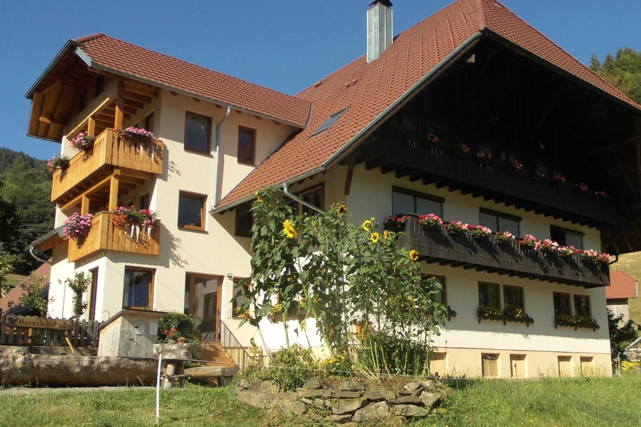 Urlaub Auf Dem Haenslehof Daire Elzach Dış mekan fotoğraf