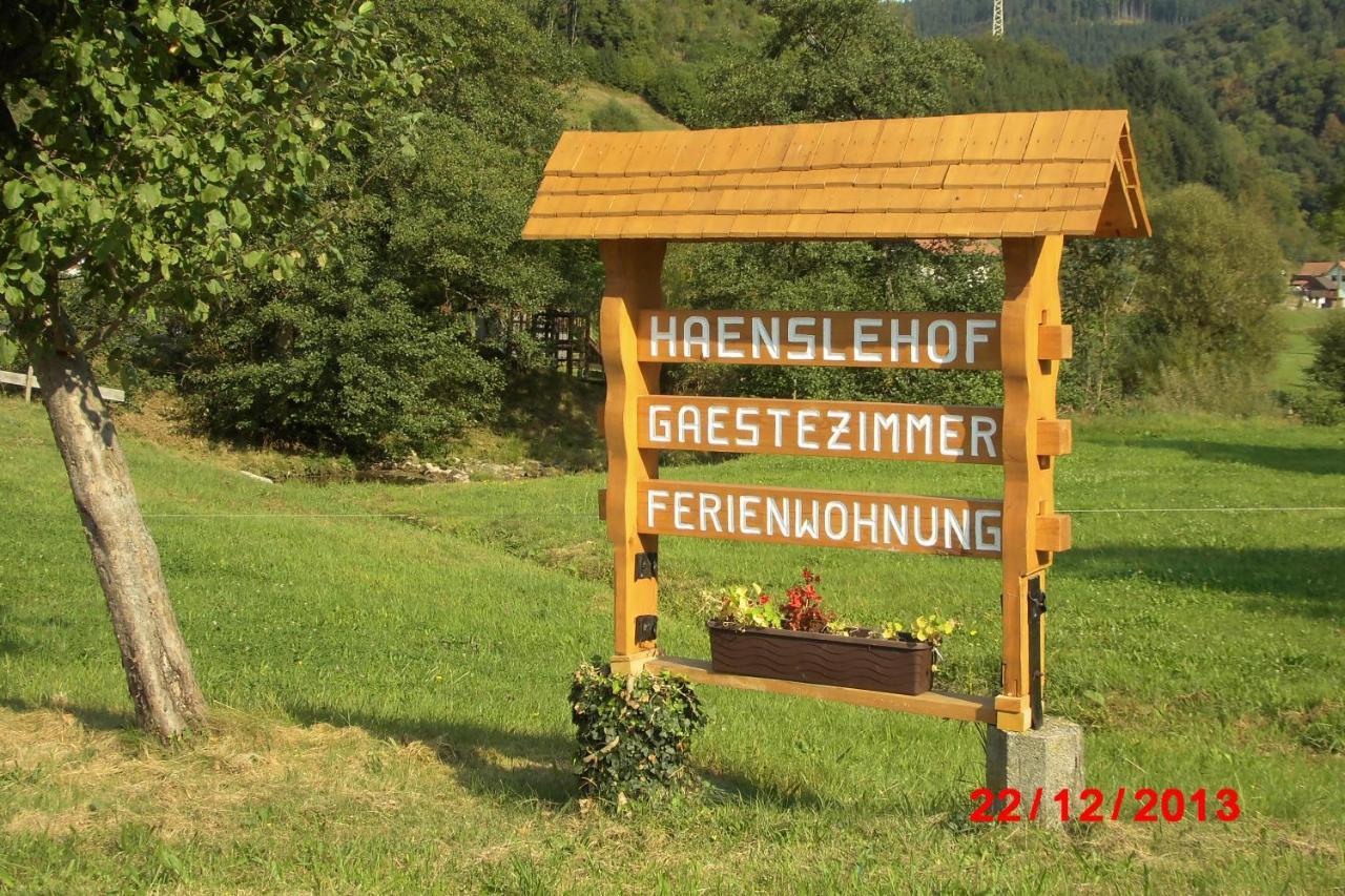 Urlaub Auf Dem Haenslehof Daire Elzach Dış mekan fotoğraf