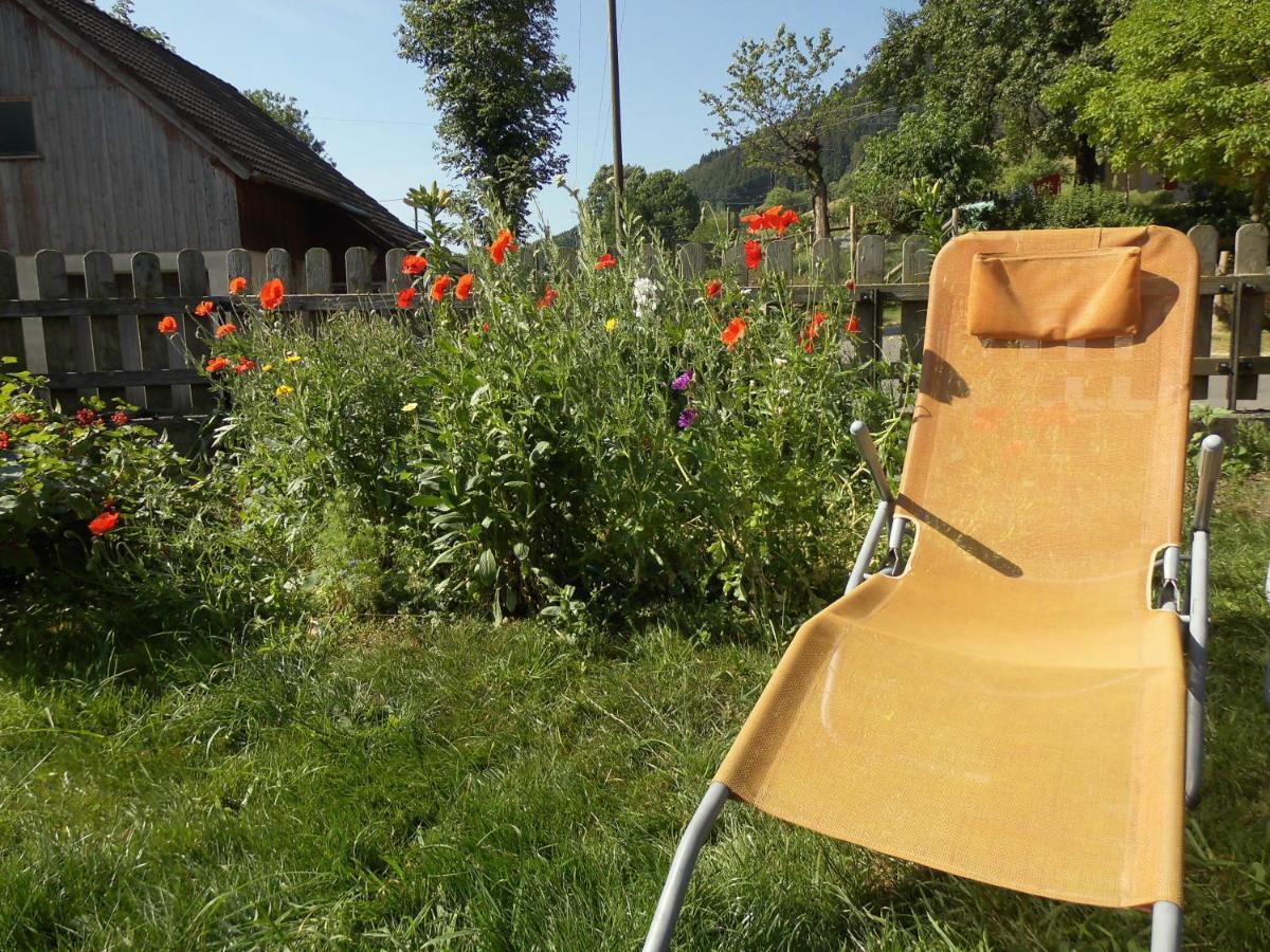 Urlaub Auf Dem Haenslehof Daire Elzach Dış mekan fotoğraf