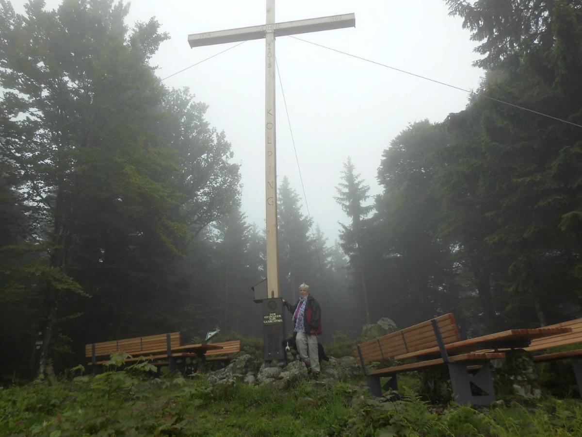Urlaub Auf Dem Haenslehof Daire Elzach Dış mekan fotoğraf