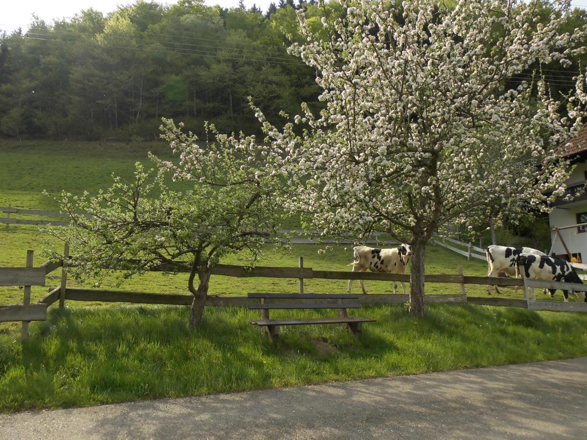 Urlaub Auf Dem Haenslehof Daire Elzach Dış mekan fotoğraf