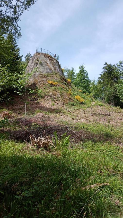 Urlaub Auf Dem Haenslehof Daire Elzach Dış mekan fotoğraf