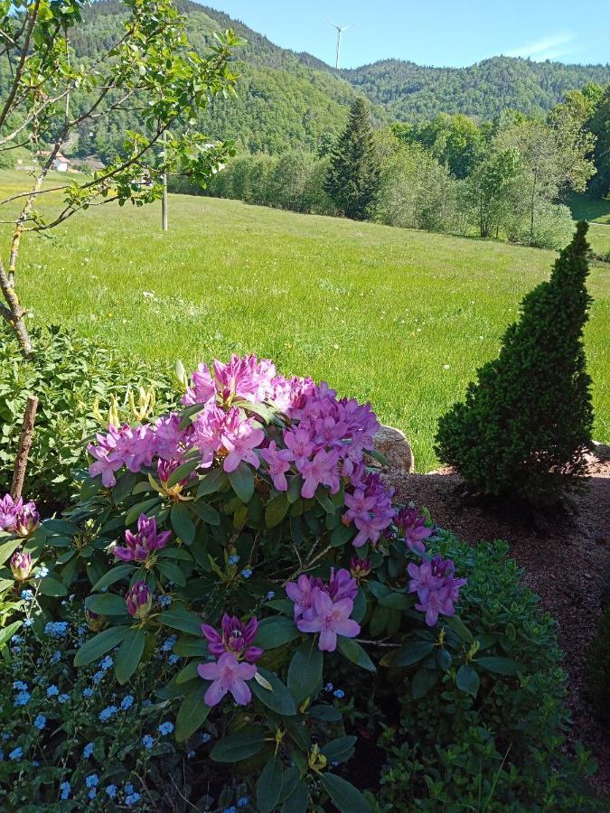 Urlaub Auf Dem Haenslehof Daire Elzach Dış mekan fotoğraf