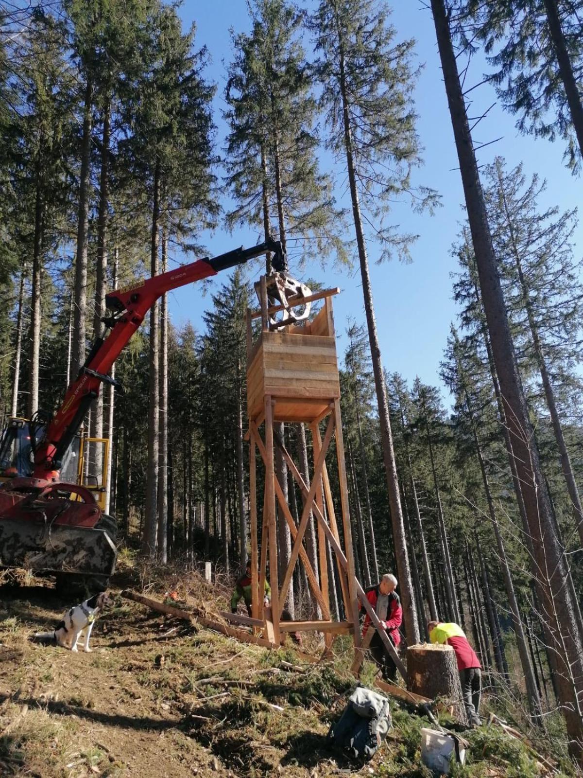 Urlaub Auf Dem Haenslehof Daire Elzach Dış mekan fotoğraf