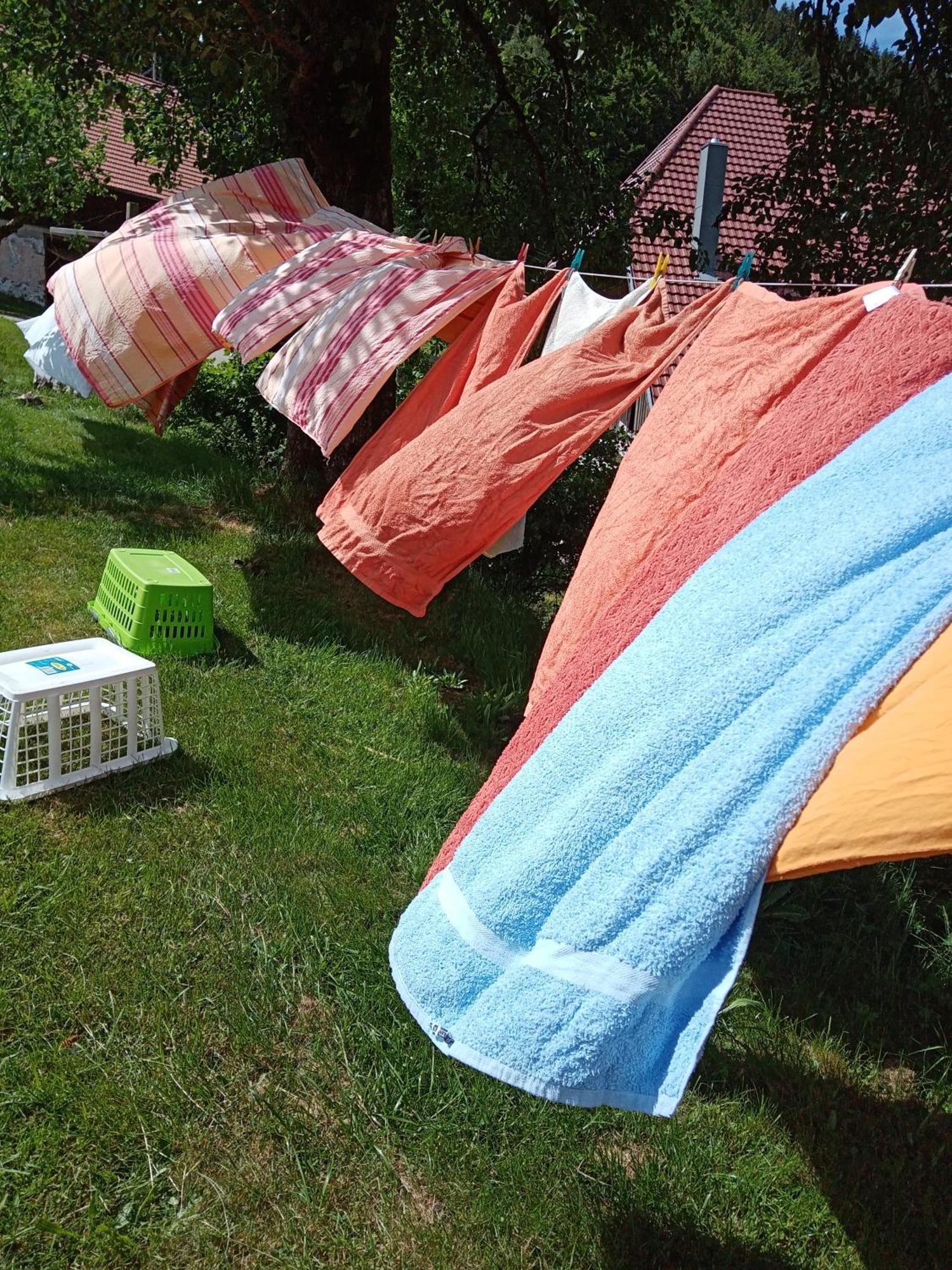 Urlaub Auf Dem Haenslehof Daire Elzach Dış mekan fotoğraf