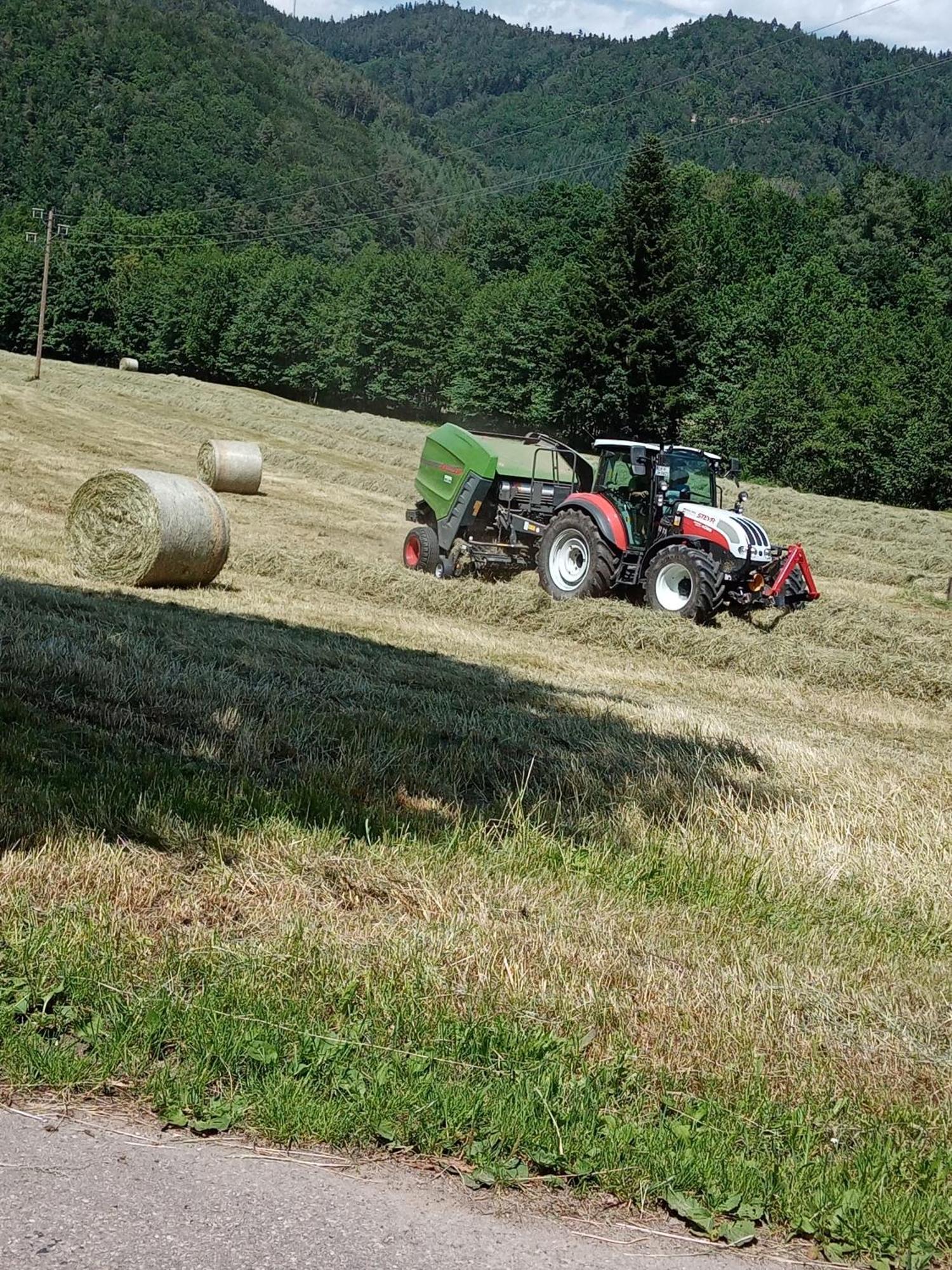 Urlaub Auf Dem Haenslehof Daire Elzach Dış mekan fotoğraf