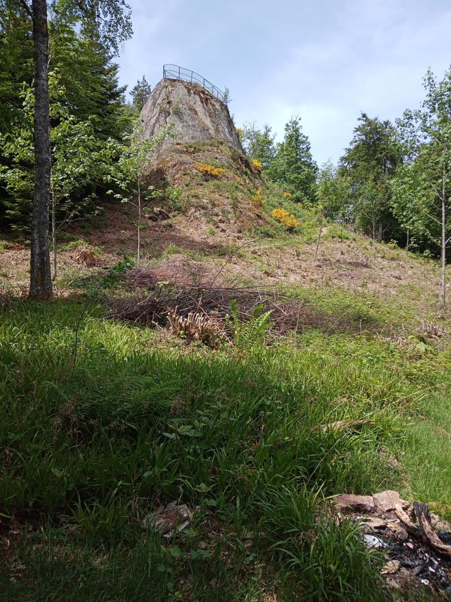 Urlaub Auf Dem Haenslehof Daire Elzach Dış mekan fotoğraf