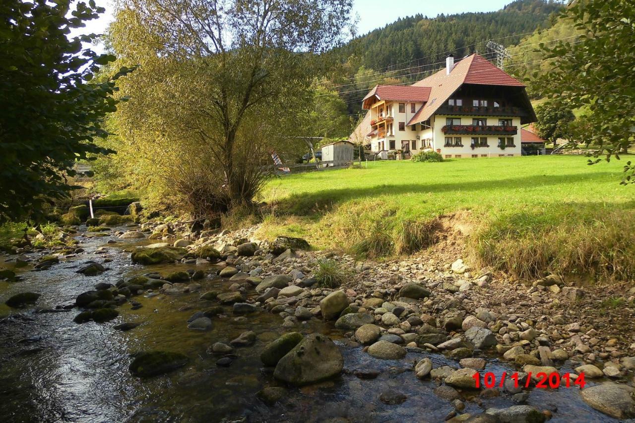 Urlaub Auf Dem Haenslehof Daire Elzach Dış mekan fotoğraf