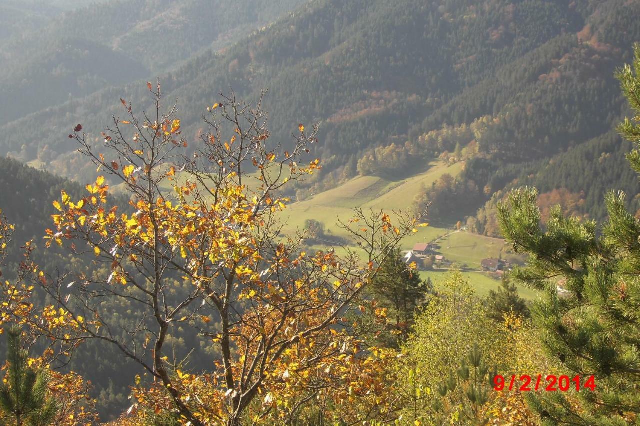 Urlaub Auf Dem Haenslehof Daire Elzach Dış mekan fotoğraf