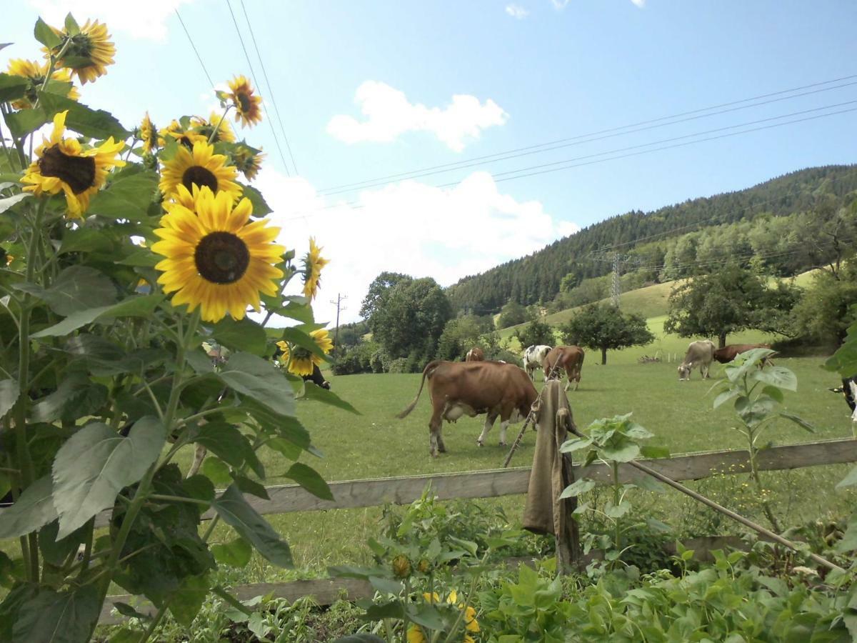 Urlaub Auf Dem Haenslehof Daire Elzach Dış mekan fotoğraf