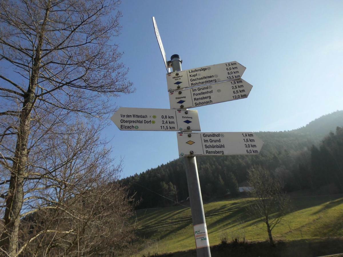 Urlaub Auf Dem Haenslehof Daire Elzach Dış mekan fotoğraf